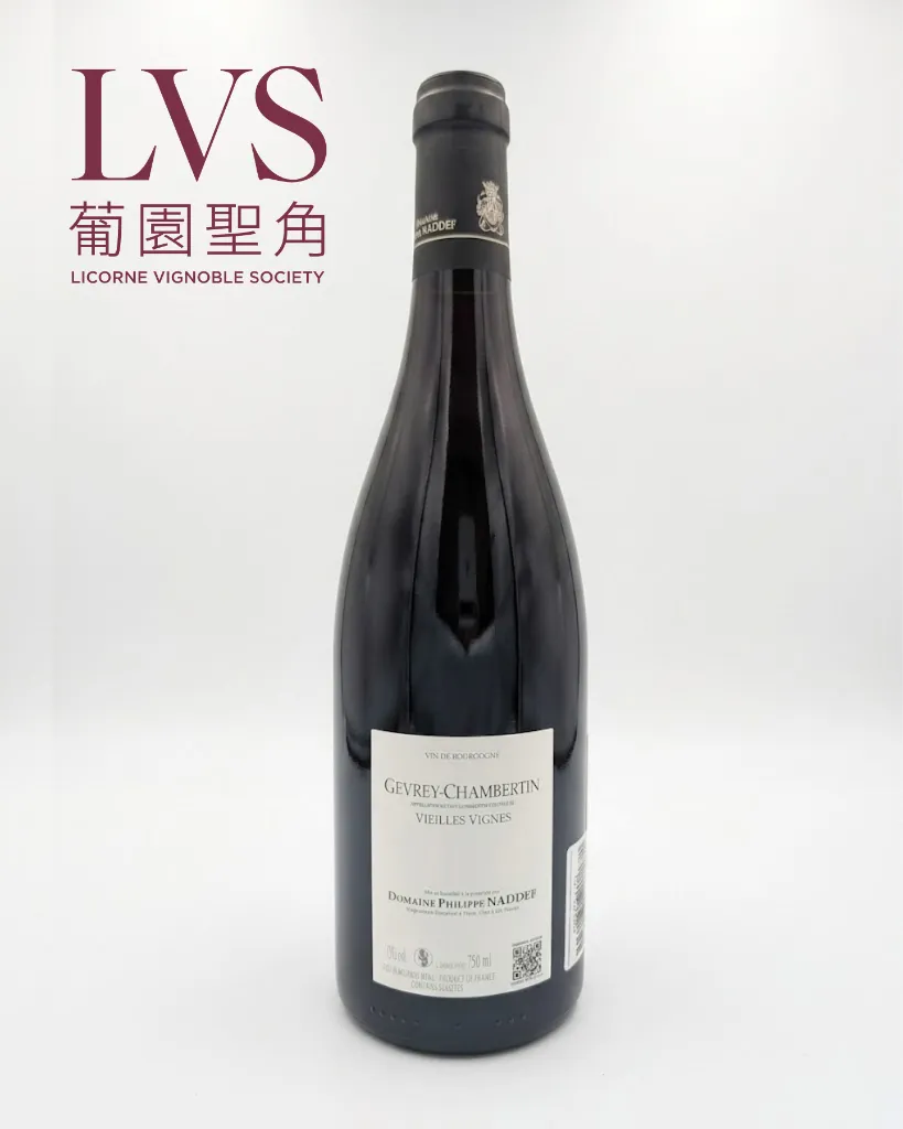 GV_VV_背標.webp