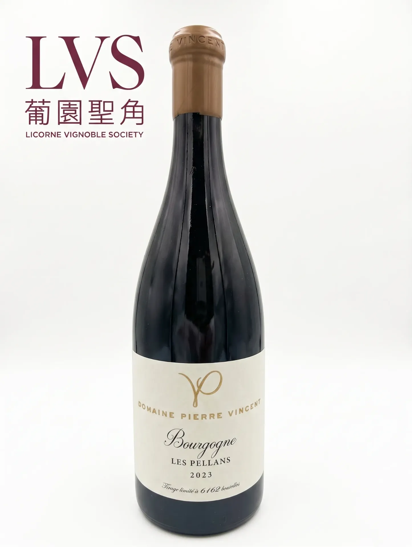 [20041223001] 2023 Domaine Pierre Vincent Bourgogne Les Pellans Blanc